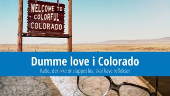 Dumme love i Colorado – katte skal have reflekser