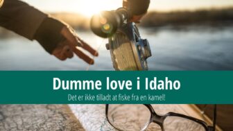 Dumme love i Idaho – det er ikke tilladt at fiske fra en kamel