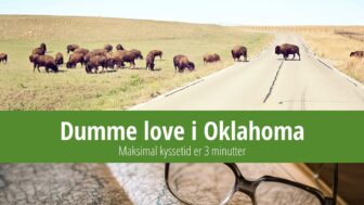 Dumme love i Oklahoma – maksimal kyssetid er 3 minutter