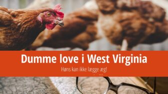 Dumme love i West Virginia – høns kan ikke lægge æg