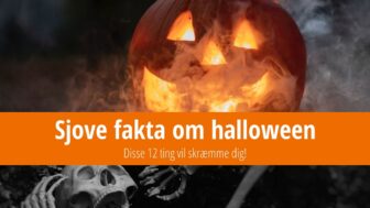 Sjove fakta om halloween – disse 12 ting vil skræmme dig!