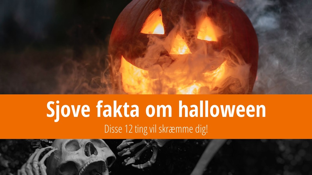 Sjove fakta om halloween – disse 12 ting vil skræmme dig! | © Unsplash.com