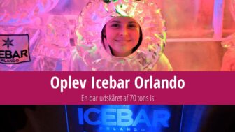 Icebar Orlando i Florida er en bar udskåret af 70 tons is