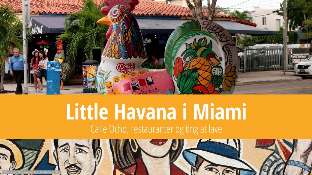 Little Havana i Miami – Calle Ocho, restauranter og ting at lave | © Thank You (23 Millions+) views / Flickr, © Phillip Pessar / Flickr