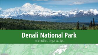 Denali National Park – turistguide, information, fotos