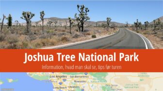 Joshua Tree National Park – billetter, turistguide, fotos