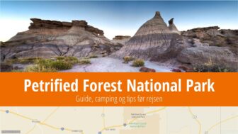 Petrified Forest National Park – turistguide, camping, fotos