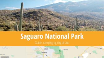 Saguaro National Park – turistguide, kaktusser, camping