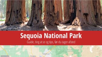 Sequoia National Park – billetter, turistguide, information