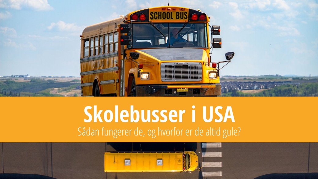 Skolebusser i USA – hvorfor er de altid gule? | © Unsplash.com