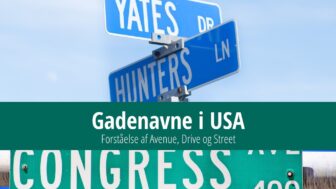 Gadenavne i USA – forståelse af Avenue, Drive og Street navne