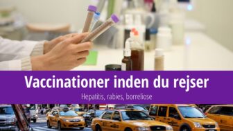 Vaccinationer før du rejser til USA – rabies, borreliose, hepatitis